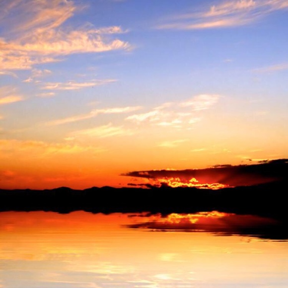 Meet your Posher, Matthew - Picture 1 of 1